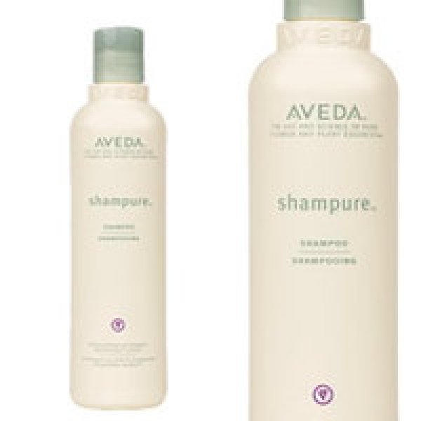 画像1: AVEDA アヴェダ シャンピュア コンディショナー 250ml (1)
