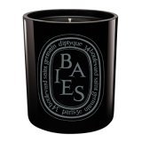 diptyque ディプティック カラー キャンドル ベノアール （BAIES） 300g