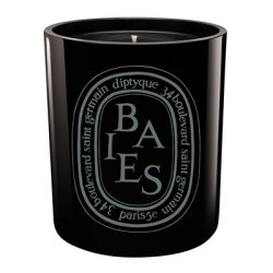 画像1: diptyque ディプティック カラー キャンドル ベノアール （BAIES） 300g